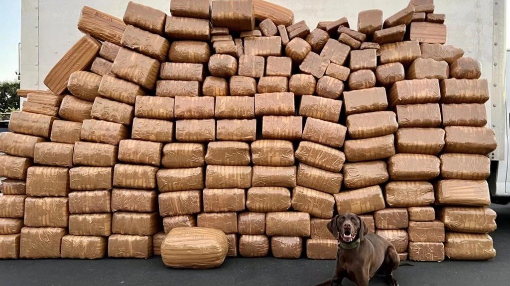 This is what 5000lbs of Meth Looks Like