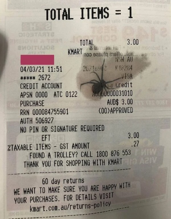 I unintentionally smudged KFC grease on a receipt, revealing a redback spider from an ad on the other side. Heart missed a beat when I took it from my wallet.
