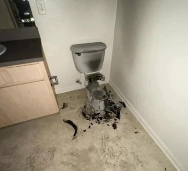 odd things that happened  - toilet struck by lightning