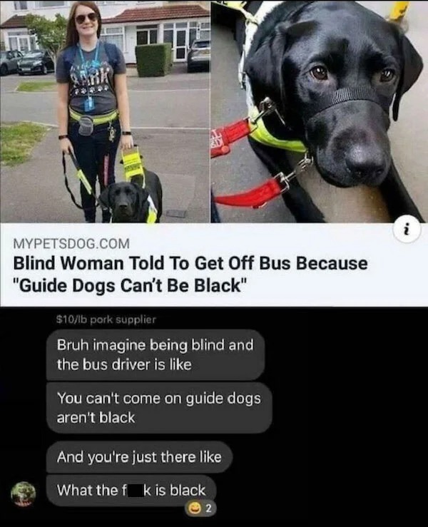 entitled jerks - guide dogs can t be black - Mypetsdog.Com Blind Woman Told To Get Off Bus Because "Guide Dogs Can't Be Black" $10lb pork supplier Bruh imagine being blind and the bus driver is You can't come on guide dogs aren't black And you're just the