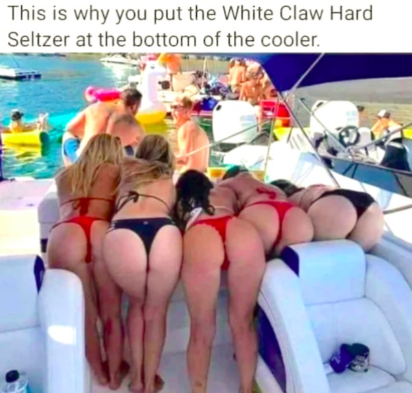 dirty memes for dirty minds - bikini - This is why you put the White Claw Hard Seltzer at the bottom of the cooler. 02
