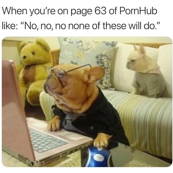 dirty memes for dirty minds - funny - When you're on page 63 of PornHub "No, no, no none of these will do."