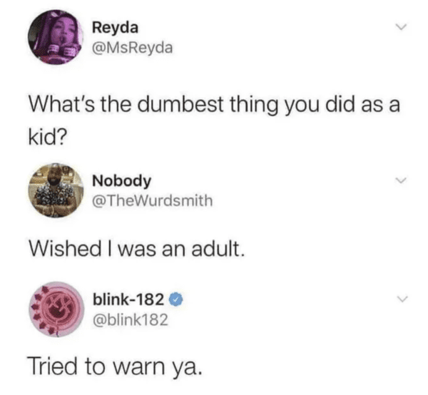 depressing memes - blink 182 twitter meme - Reyda What's the dumbest thing you did as a kid? Nobody Wished I was an adult. blink182 Tried to warn ya.