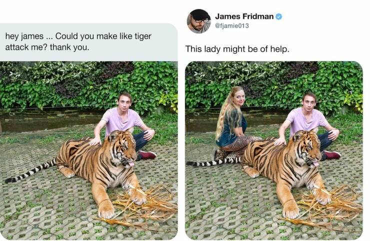 photoshop troll - photoshop fail memes james fridman - hey james ... Could you make tiger attack me? thank you. James Fridman This lady might be of help. Sore