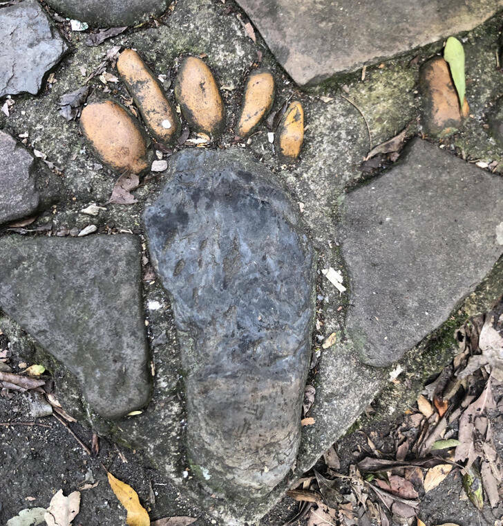 "Some creative person added a foot to this stone paved area at a hidden picnic spot in the mountains."