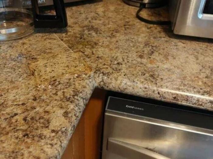 pics to double take - camouflage sandwich on countertop - Goldss