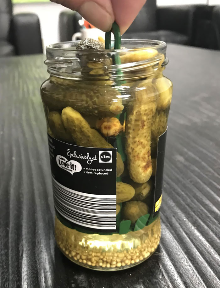 genius designs - pickled foods - e Exclusively at Lal Love it! Gorontere Ldl money refunded item replaced