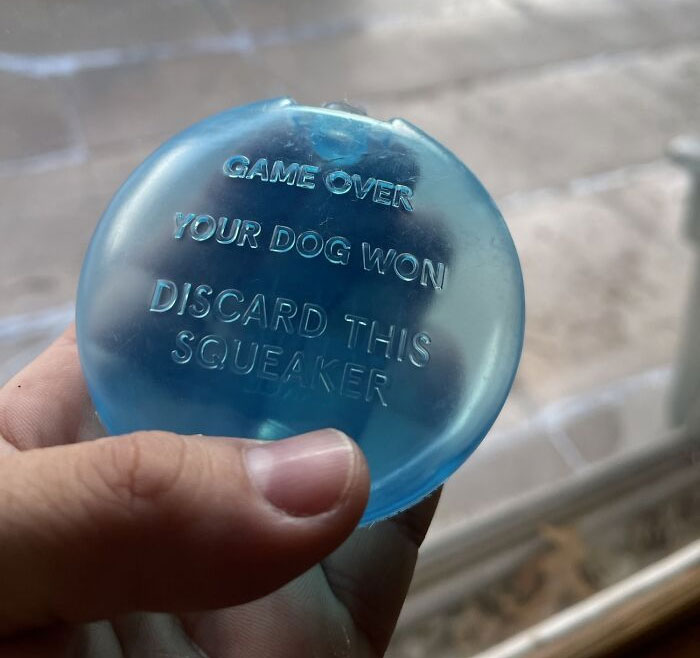 genius designs - mildly interesting - Game Over Your Dog Won Discard This Squeaker