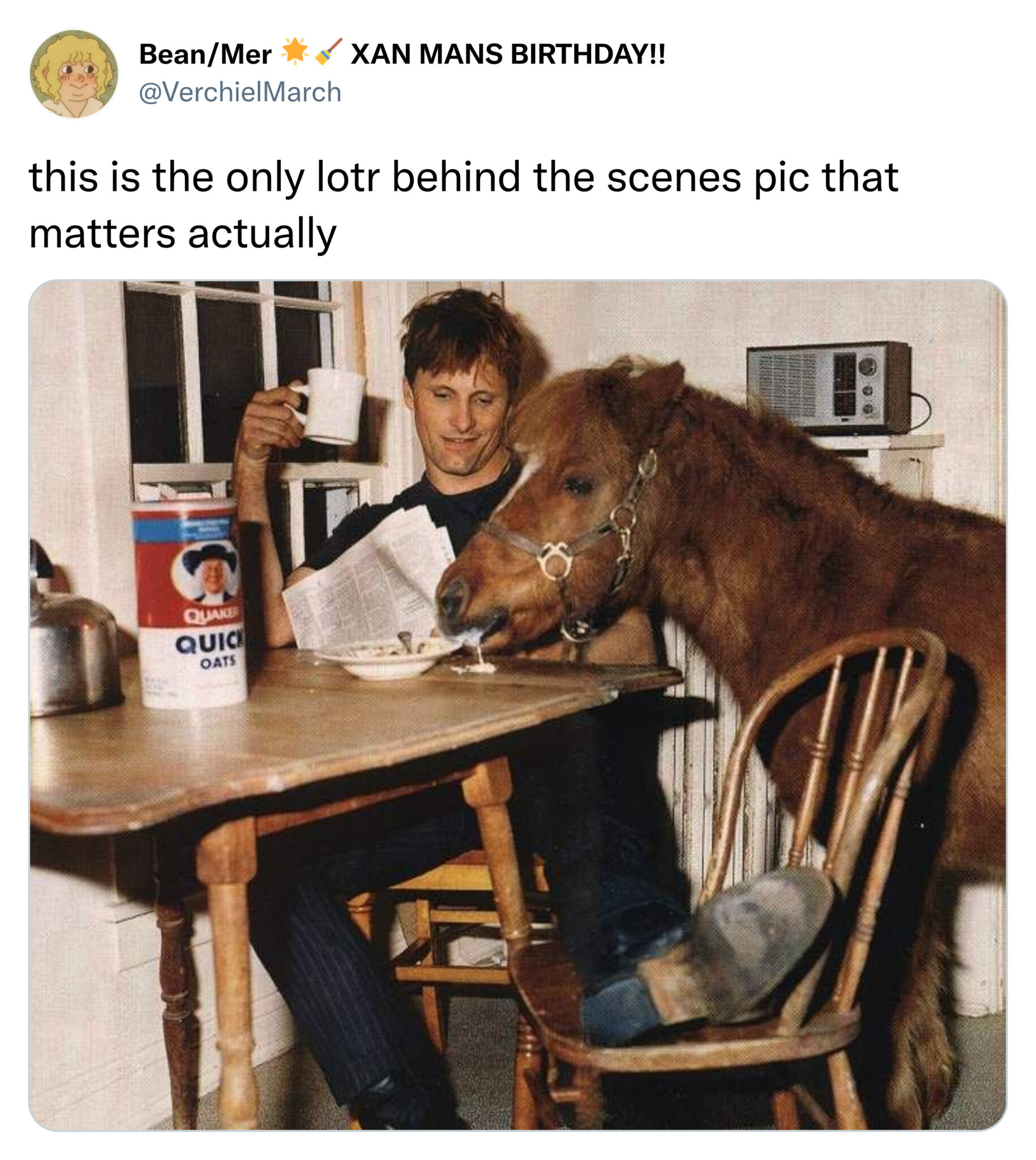 funny tweets and posts on twitter -  horse - BeanMer Xan Mans Birthday!! this is the only lotr behind the scenes pic that matters actually Que Quic Dats