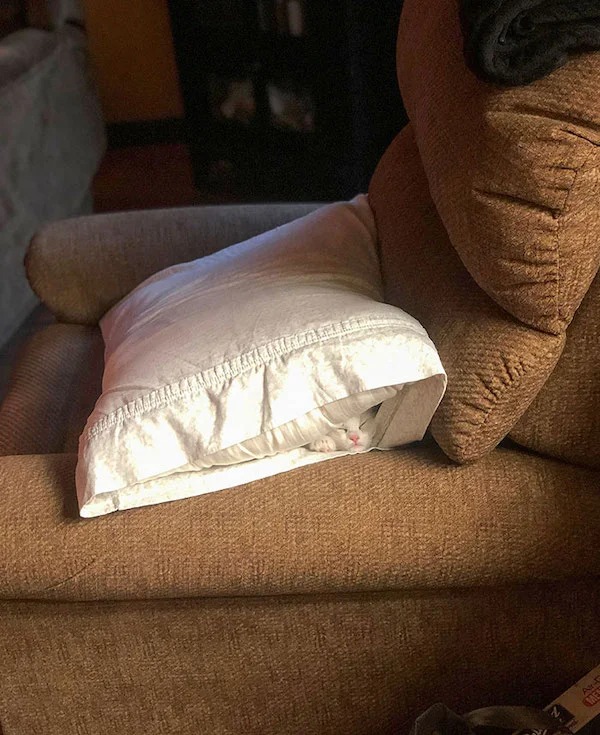 My pillow has a surprise inside!