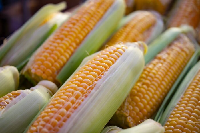 Fruit and corn. They have been bred to be sweeter and harder for transport, and have lost much of the subtle fruit/corn flavor they used to have.