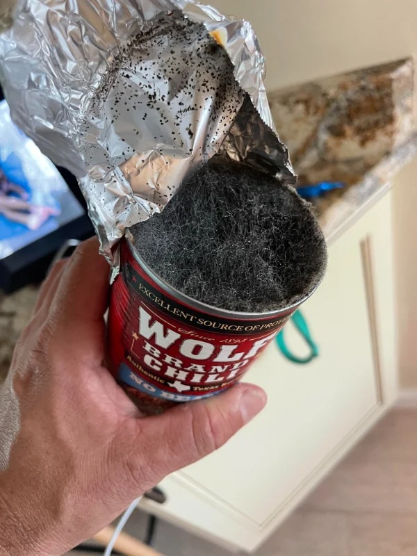 fascinating photos  - Forgot about a can of wolf brand chili in back of fridge and the mold growing looks like wolf hair.