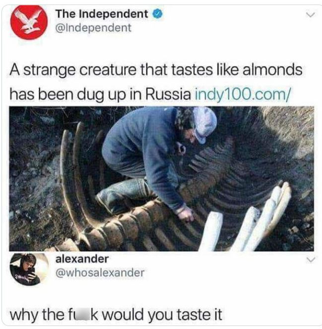crazy news headlines - strange creature that tastes like almonds - The Independent A strange creature that tastes almonds has been dug up in Russia indy100.com alexander why the fuck would you taste it