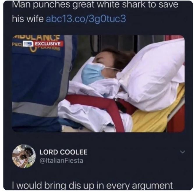 crazy news headlines - arm - Man punches great white shark to save his wife abc13.co3g0tuc3 Dulance Pecs Exclusive Perations Lord Coolee I would bring dis up in every argument