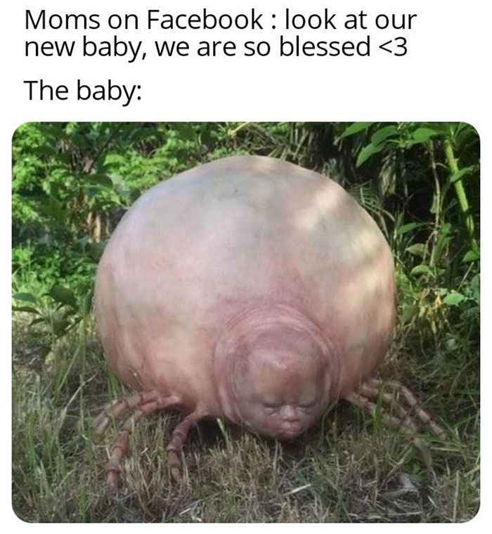 Memes that are not wrong - chill bro meme - Moms on Facebook look at our new baby, we are so blessed