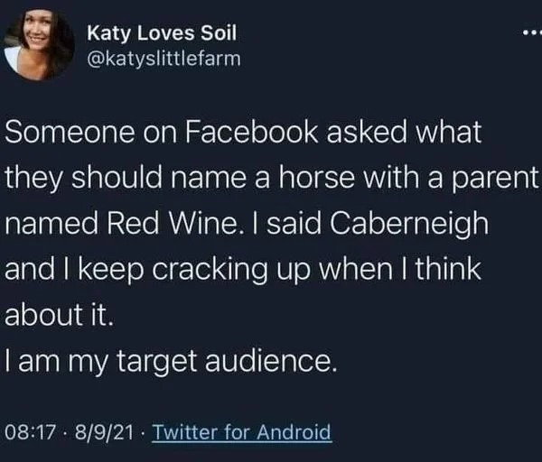 can i help you - Katy Loves Soil Someone on Facebook asked what they should name a horse with a parent named Red Wine. I said Caberneigh and I keep cracking up when I think about it. I am my target audience. 8921 Twitter for Android
