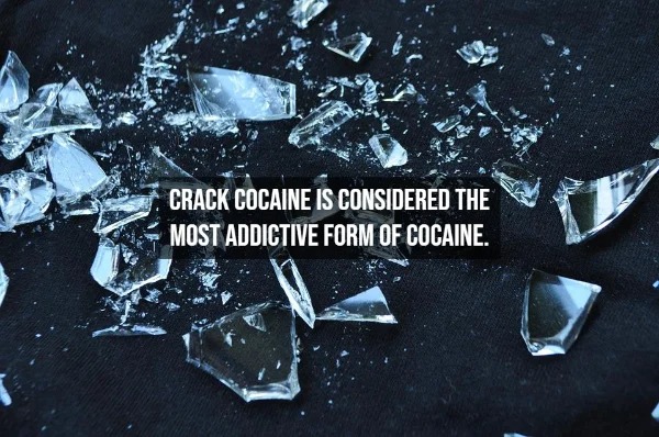 15 Cocaine Facts To Blow Your Mind.
