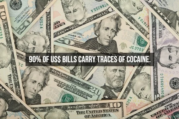 15 Cocaine Facts To Blow Your Mind.