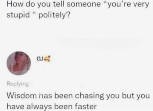 brutal comments - wisdom has been chasing you - How do you tell someone "you're very stupid" politely? Gj ing Wisdom has been chasing you but you have always been faster