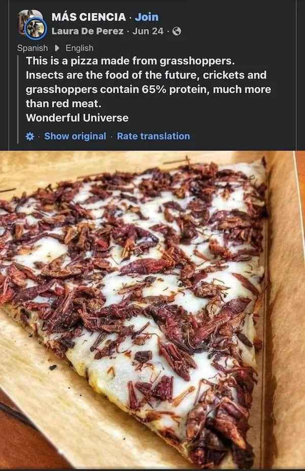 creepy images - pizza with grasshoppers This is a pizza made from grasshoppers. Insects are the food of the future, crickets and grasshoppers contain 65% protein, much more than red meat.