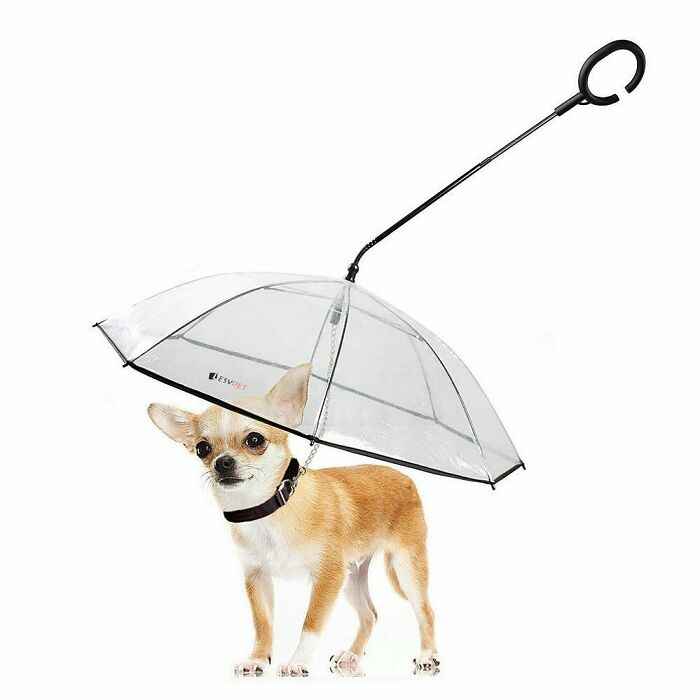 wtf and bizarre products - dog umbrella