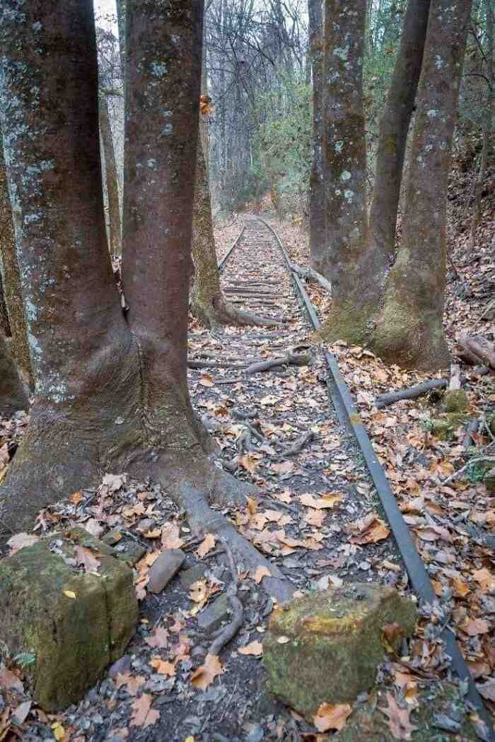 fascinating places - Nature Taking Over