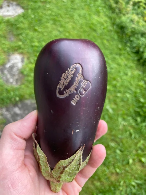 “My eggplant has a laser marking instead of a physical sticker to show it’s organic.”