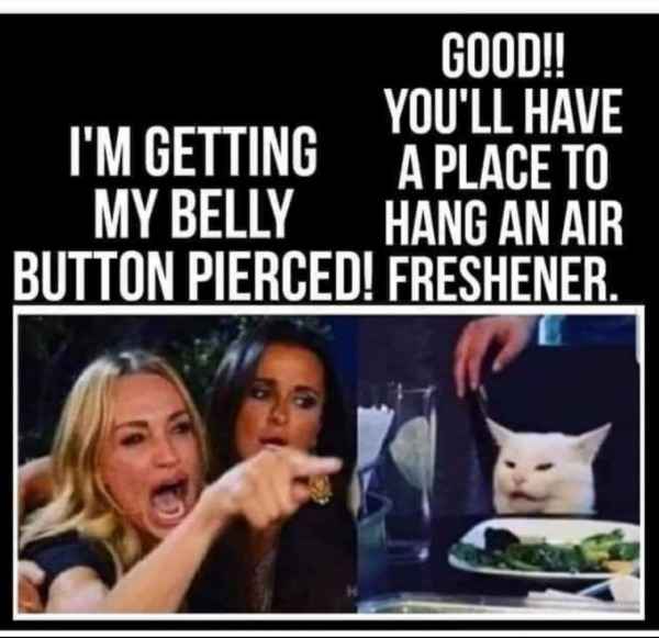 low brow humor and spicy memes - photo caption - I'M Getting My Belly Button Pierced! Good!! You'Ll Have A Place To Hang An Air Freshener.