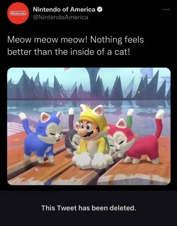 low brow humor and spicy memes - nintendo deleted tweet - Nintendo Nintendo of America Meow meow meow! Nothing feels better than the inside of a cat! This Tweet has been deleted.