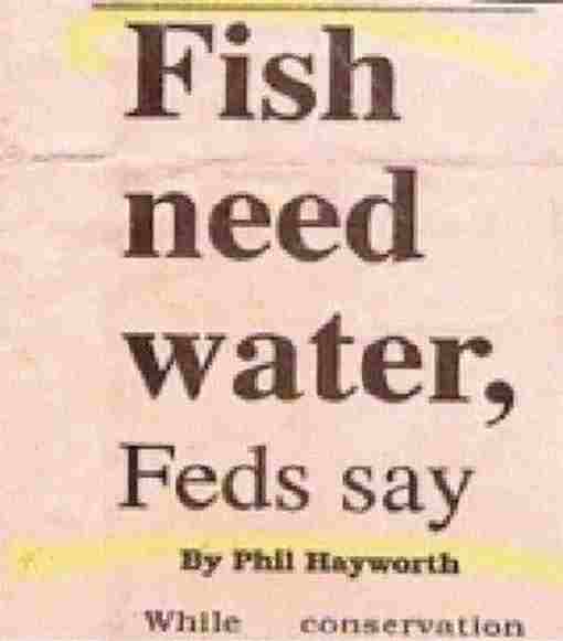 technically correct - british school rio de janeiro - Fish need water, Feds say By Phil Hayworth While