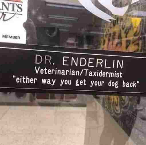 technically correct - veterinarian taxidermist - Nts Member Dr. Enderlin VeterinarianTaxidermist "either way you get your dog back"