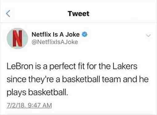 technically correct - N Tweet Netflix Is A Joke LeBron is a perfect fit for the Lakers since they're a basketball team and he plays basketball. 7218,