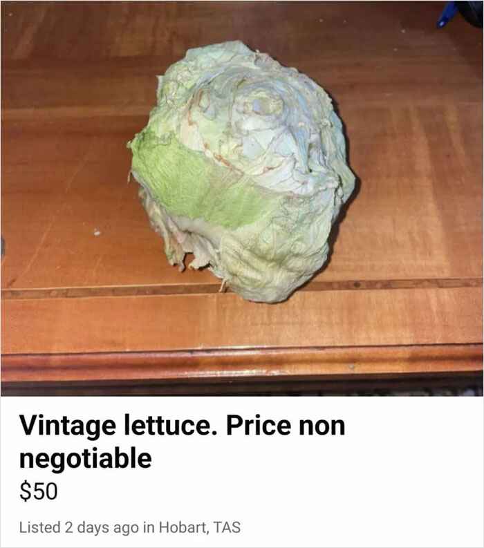 wtf Facebook marketplace sales - cabbage - Vintage lettuce. Price non negotiable $50 Listed 2 days ago in Hobart, Tas