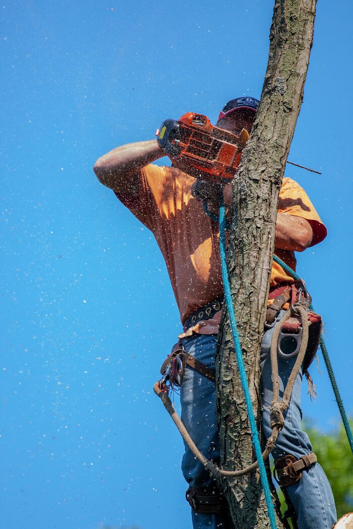 I was 11yo and at my friend's house, his parents and all of his siblings were home. Everyone but his dad was in the front room of the house. His dad was doing yard work in the backyard. I got up to go to the bathroom, and while passing the backdoor saw that my friend's dad was on a ladder with an electric tree trimmer. Before I looked away and continued on, his dad fell off the top rung of the ladder and crashed *hard* on the ground. The tree trimmer was still somehow on and landed next to his body. The trimmer was going full horror movie and slowly moving towards him and he was not getting up. I'm the only one who saw this happen. So I yelled, "Friend, Friend's mom! Your dad fell, come quick!", and ran outside to pick the trimmer up and move it away. By the time I turned it off and started focusing on him, everyone else was outside. We helped him up, the mom took him to the hospital for back pain and a mild concussion, the older siblings watched us while they were gone, and everyone was very thankful I had to pee.