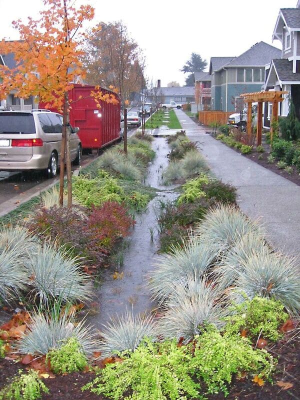 Bioswale, Seattle WA. (A channel to concentrate, clean and move stormwater)