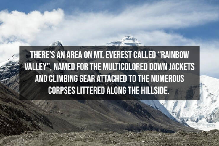 29 Random Facts To Fill Your Head With.