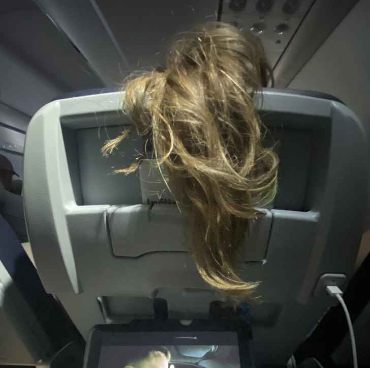 Infuriating photos - hair over airplane seat