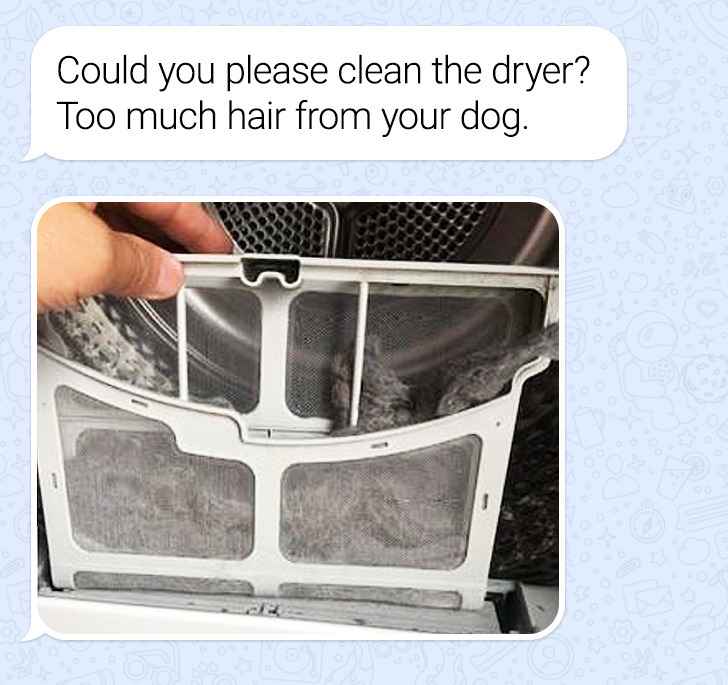 Infuriating photos - Could you please clean the dryer? Too much hair from your dog.