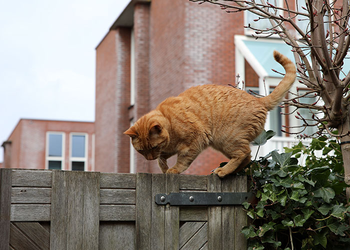 28 Secrets People Promised They'd Never Tell Anyone.