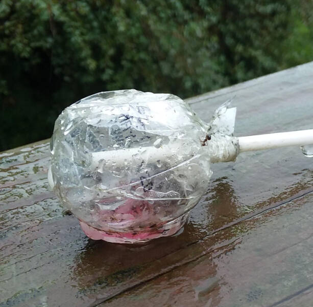 “The rain melted this sucker and left the wrapper almost perfect.”