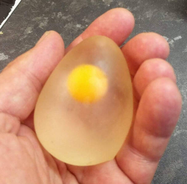 “This peeled raw egg”