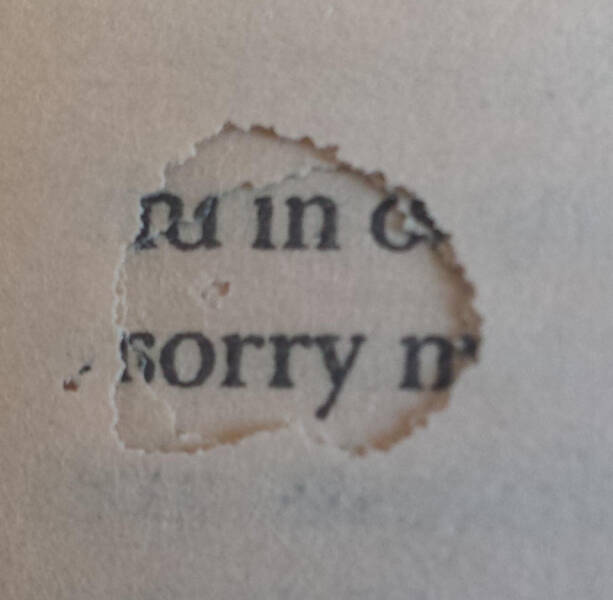 “Bugs started eating my book and left me a message, ’sorry.’”