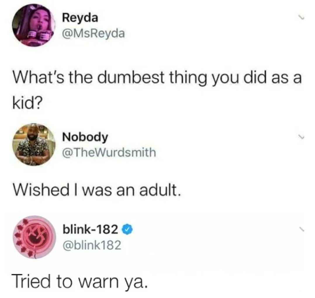 funny comments - What's the dumbest thing you did as a kid? Nobody Wished I was an adult.