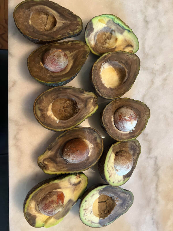 “Every single avocado (minus 1) from a Costco pack I bought 2 days ago.”