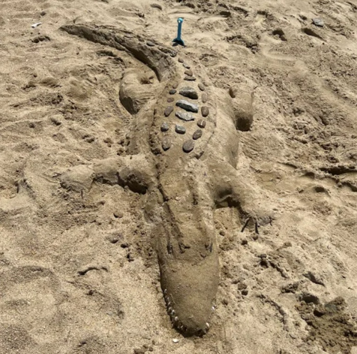 “A kid made this crocodile at the beach.”