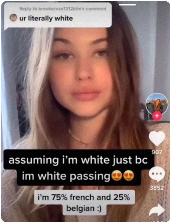 cringe titktok posts - blond - to brookerose1312blm's comment Our literally white assuming i'm white just bc im white passing i'm 75% french and 25% belgian 907 3852