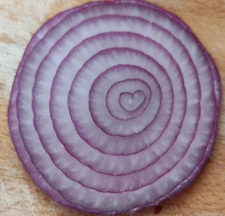 fascinating pics - red onion