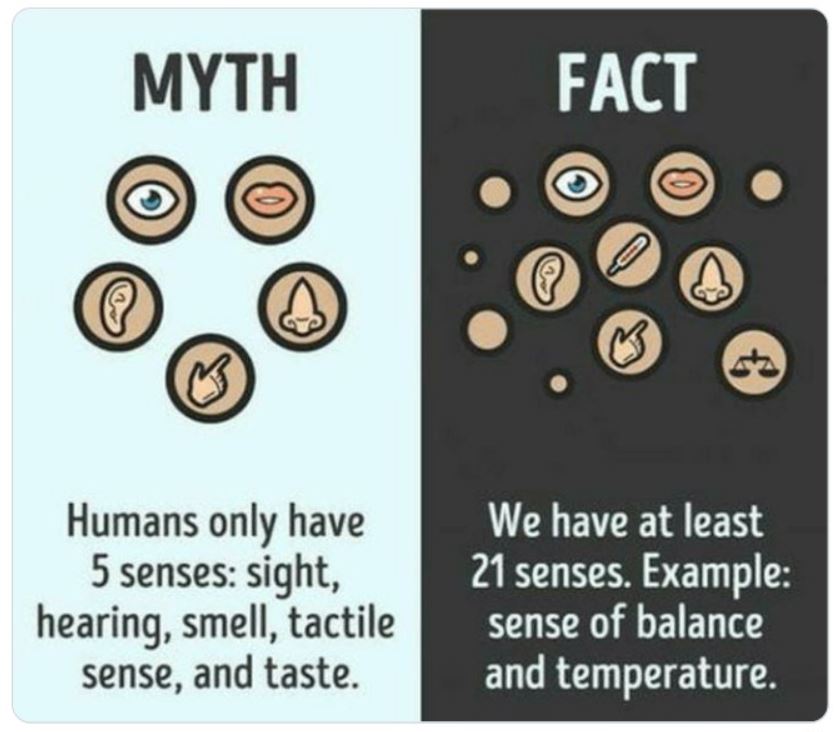 40 Facts That Are Actually Myths.