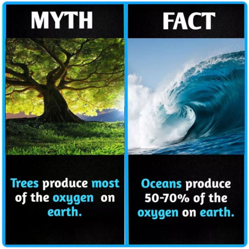 40 Facts That Are Actually Myths.