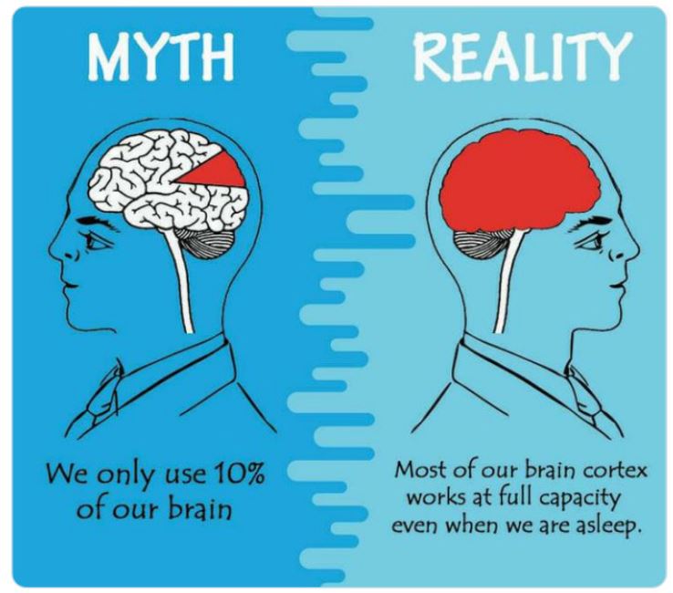 40 Facts That Are Actually Myths.